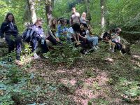 Waldtag_24